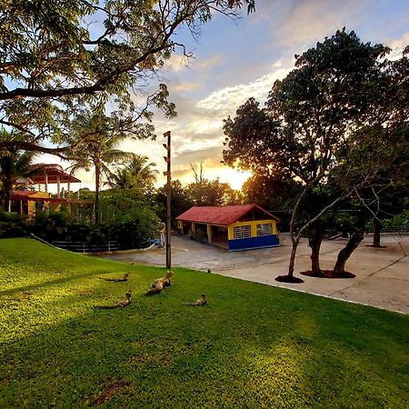 Hotel Netto Cachoeiras de Macacu Exterior photo